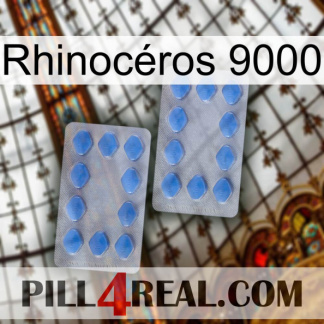 Rhinocéros 9000 20